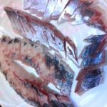 海信ゼミ